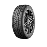 Evergreen Winter EW66