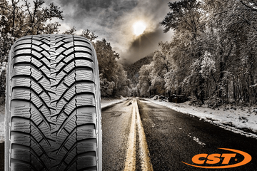 The Size Range of CST Medallion Winter WCP1 Expanded