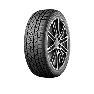 Evergreen Winter EW66