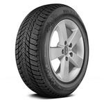 Nexen Winguard Ice Plus