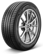 Nexen Roadian GTX