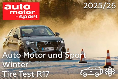 Auto Motor und Sport: Winter Tire Test R17