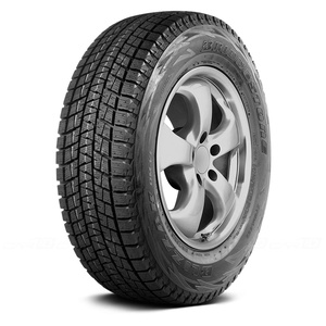 Bridgestone Blizzak DM-V1