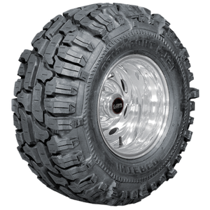 Super Swamper Thornbird