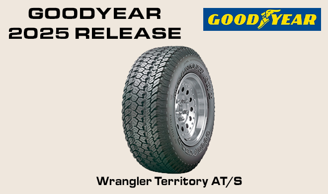 Michelin 2025 Release